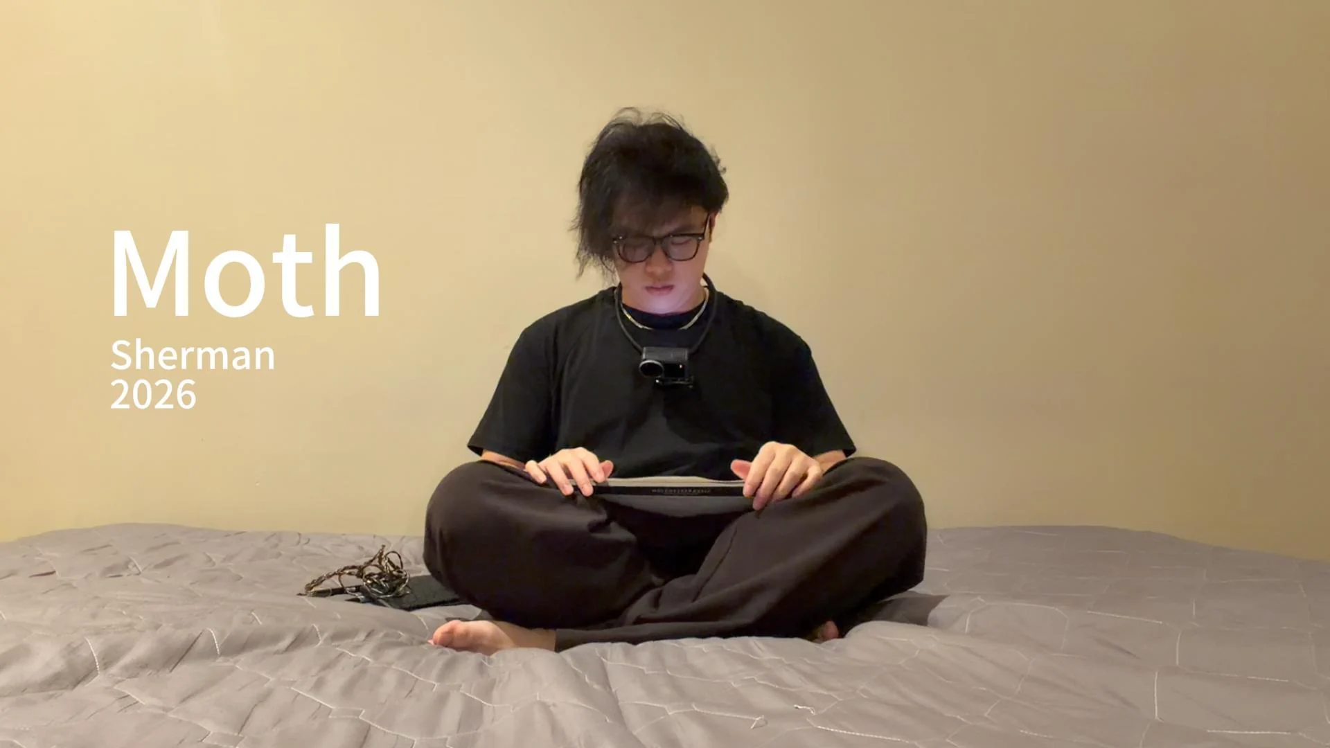 Moth — cover